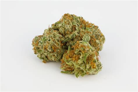 bg kush|Bubblegum Kush Marijuana Strain